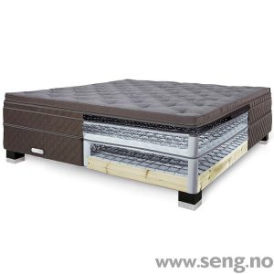 DUX 818 kontinentalseng