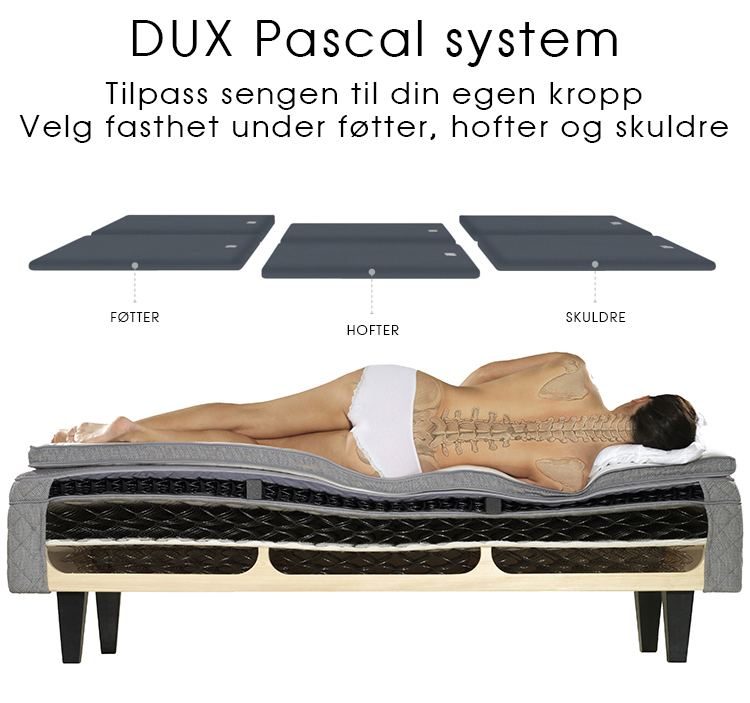 DUX Pascal
