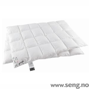 Bergen Dun sommerdyne