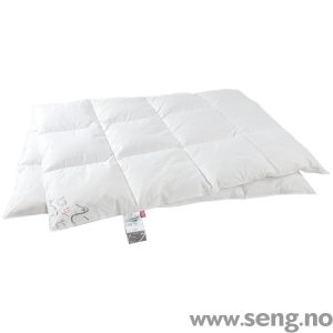 Bergen Dun Svalbard dyne