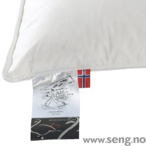 Bergen Dun Pute Antarktis
