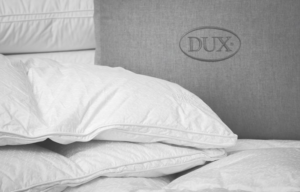 Dux Superior dun dyne