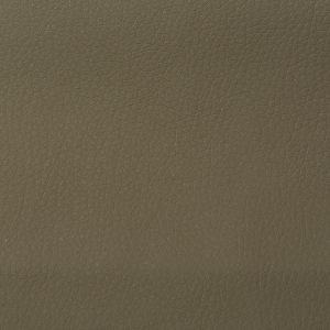 BF0 Beige Taupe