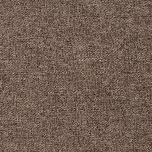USF Beige